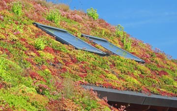 Cliddesden living roof systems